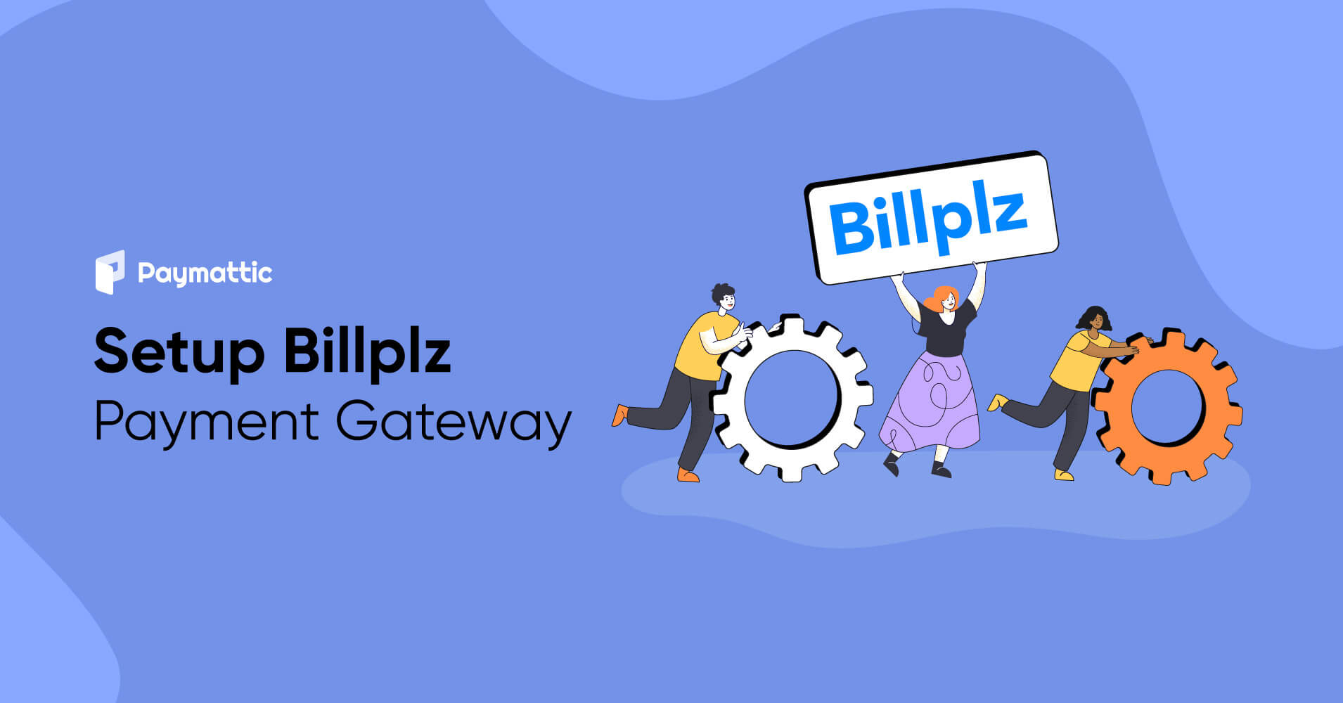 How to Setup Billplz Payment Gateway in WordPress?