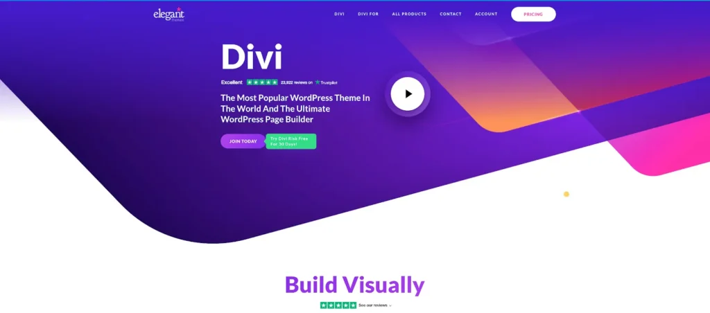 Elegant themes - Divi