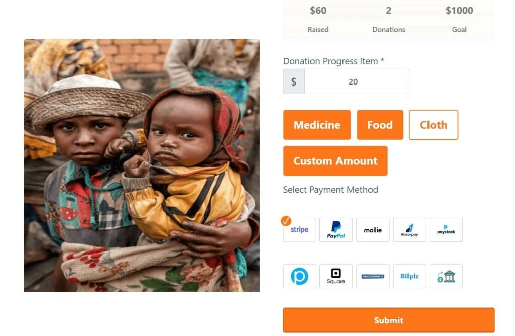 online fundraising demo form template