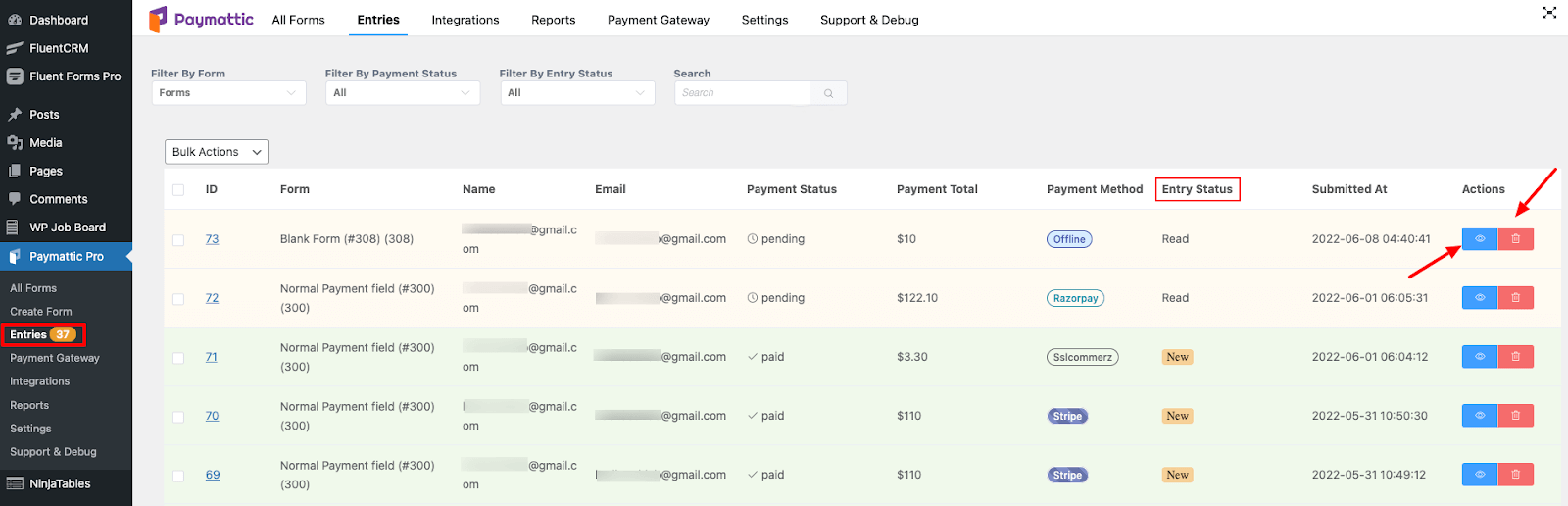 A Complete Guide to Form Entries in WordPress with Paymattic