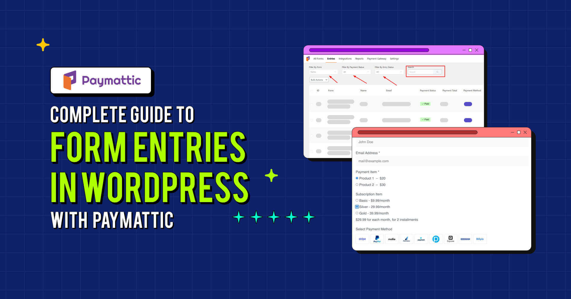 A Complete Guide to Form Entries in WordPress with Paymattic