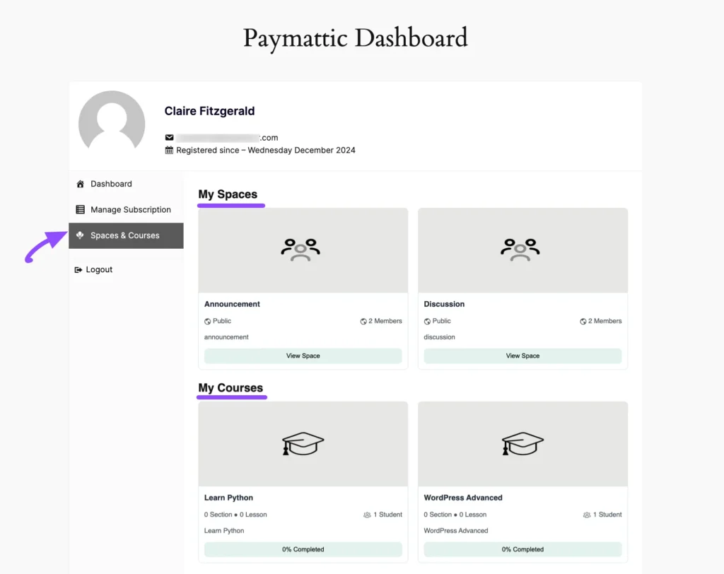 Paymattic User Dashboard